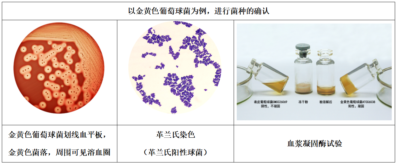 1101無菌檢查法——培養(yǎng)基適用性檢查操作要點(diǎn)(中國(guó)藥典2020年版四部) 1101無菌檢查法——培養(yǎng)基適用性檢查操作要點(diǎn)(中國(guó)藥典2020年版四部)