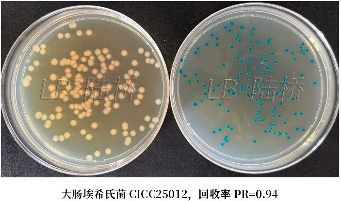 GB 4789.38－2025《食品安全國家標(biāo)準(zhǔn)　食品微生物學(xué)檢驗　大腸埃希氏菌計數(shù)》解讀