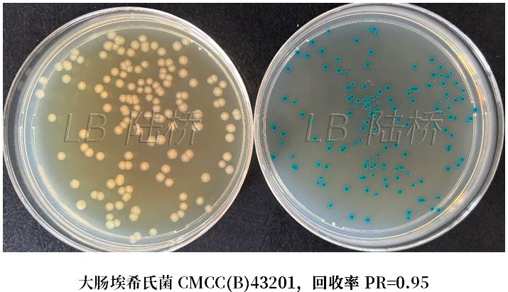 GB 4789.38－2025《食品安全國家標(biāo)準(zhǔn)　食品微生物學(xué)檢驗　大腸埃希氏菌計數(shù)》解讀