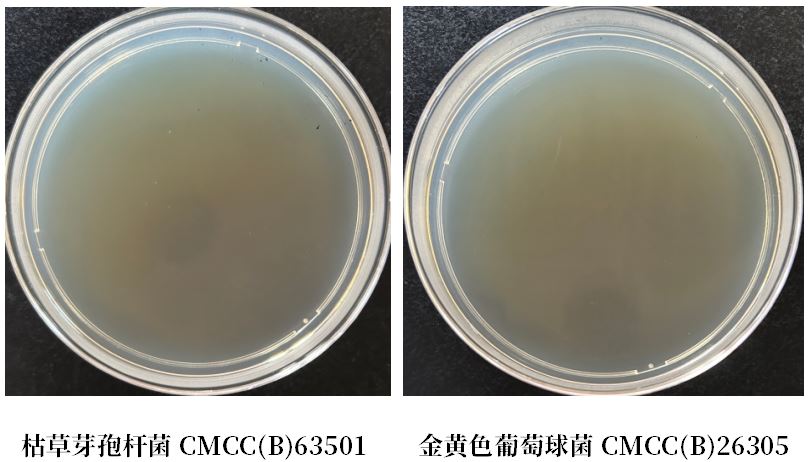 GB 4789.38－2025《食品安全國家標(biāo)準(zhǔn)　食品微生物學(xué)檢驗　大腸埃希氏菌計數(shù)》解讀