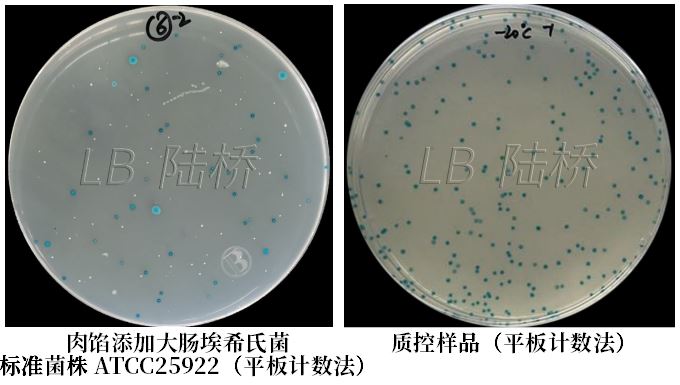 GB 4789.38－2025《食品安全國家標(biāo)準(zhǔn)　食品微生物學(xué)檢驗　大腸埃希氏菌計數(shù)》解讀