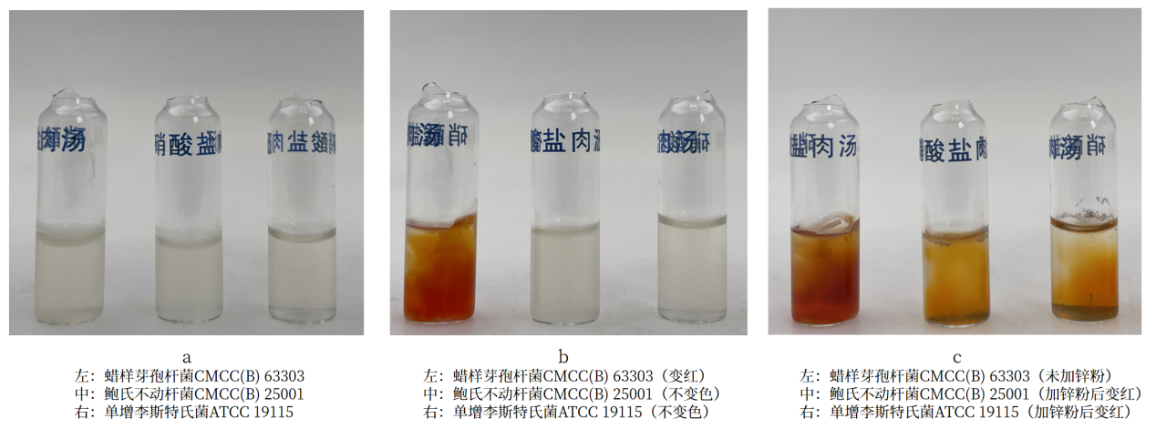 細(xì)菌生化實(shí)驗(yàn)之硝酸鹽還原實(shí)驗(yàn)解析 細(xì)菌生化實(shí)驗(yàn)之硝酸鹽還原實(shí)驗(yàn)解析