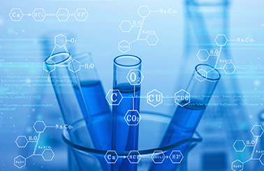“智惠行動·百會百縣鄉(xiāng)村行” 助力農牧產品高質量發(fā)展